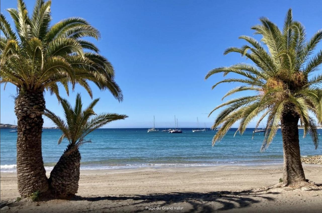 Bandol: Elegant Et Cosy 2 Pieces, Proche Ville Et Plage מראה חיצוני תמונה